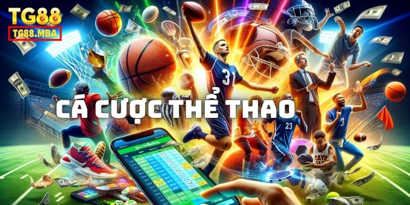 Khám phá các sảnh cá độ thể thao đầy ắp người tham gia tại TG88