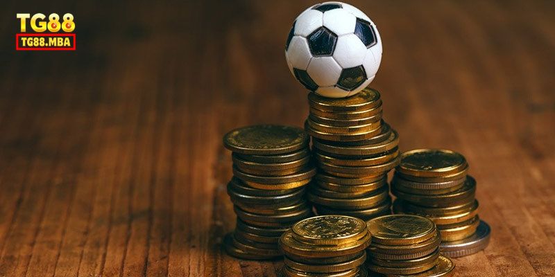 Mẹo kiếm tiền hiệu quả tại Thể Thao TG88