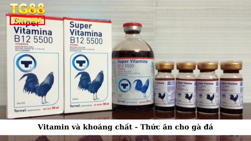 Vitamin và khoáng chất - Thức ăn cho gà đá