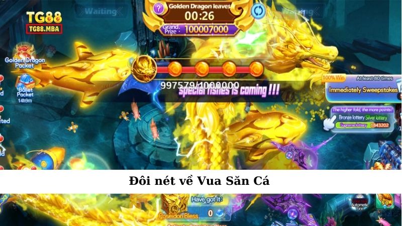 Đôi nét về Vua Săn Cá