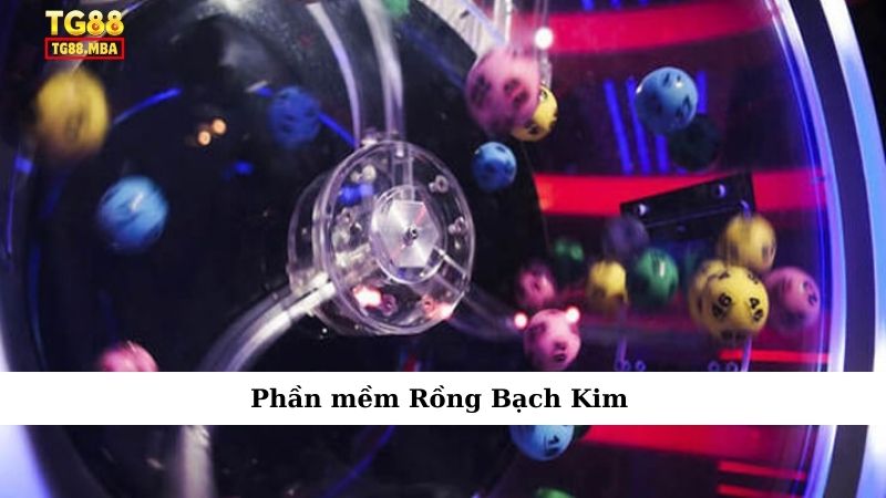 Phần mềm Rồng Bạch Kim