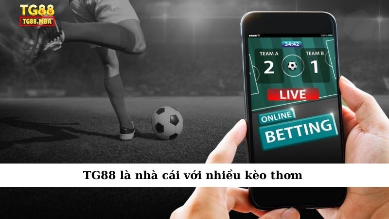 TG88 là nhà cái với nhiều kèo thơm